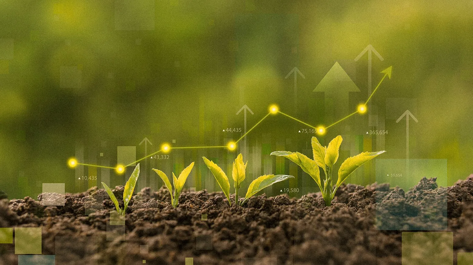 Croissance et financement